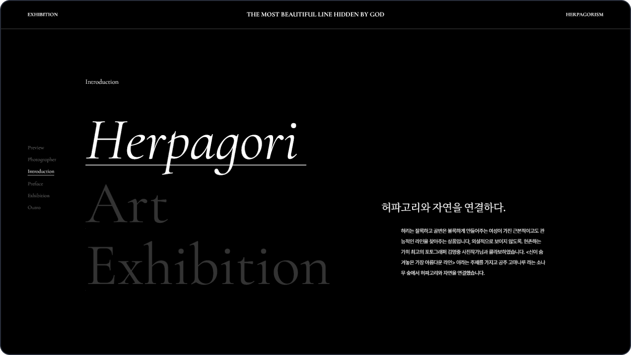 web intro-img